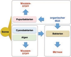 Labvolution_HSMittweida