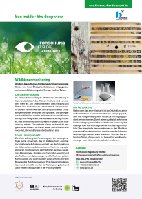 Wildbienenmonitoring