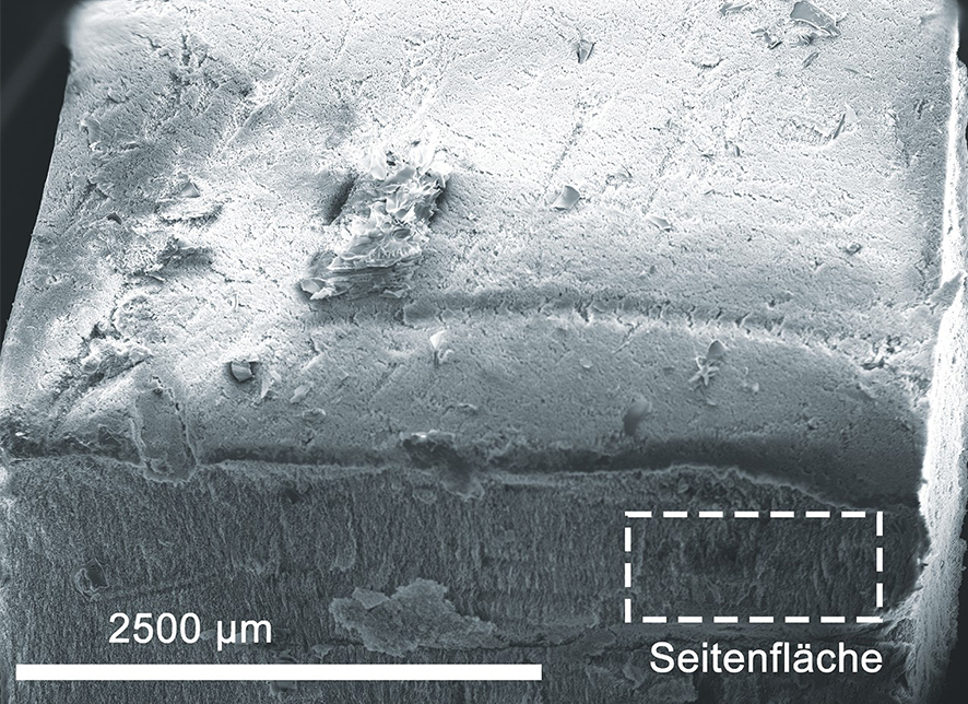 ECM_Poduktbilder_Nanocellulose