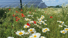 Boxenbilder_1,5Spalten_photovoltaik