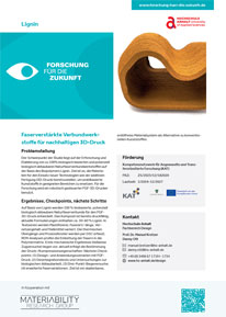 Boxenbilder_Handzettel_HSAnhalt_Lingnin