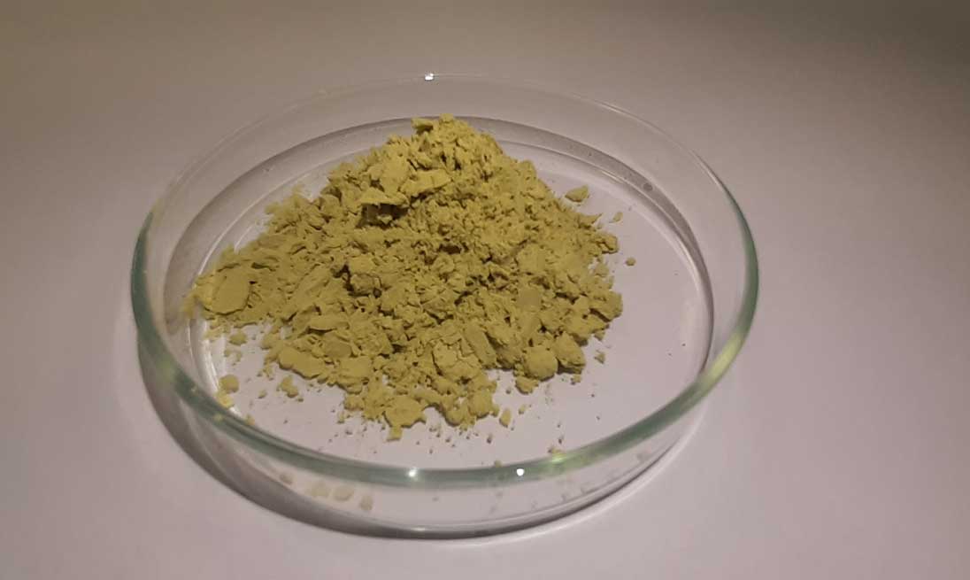 Golden-Chlorella_1096px