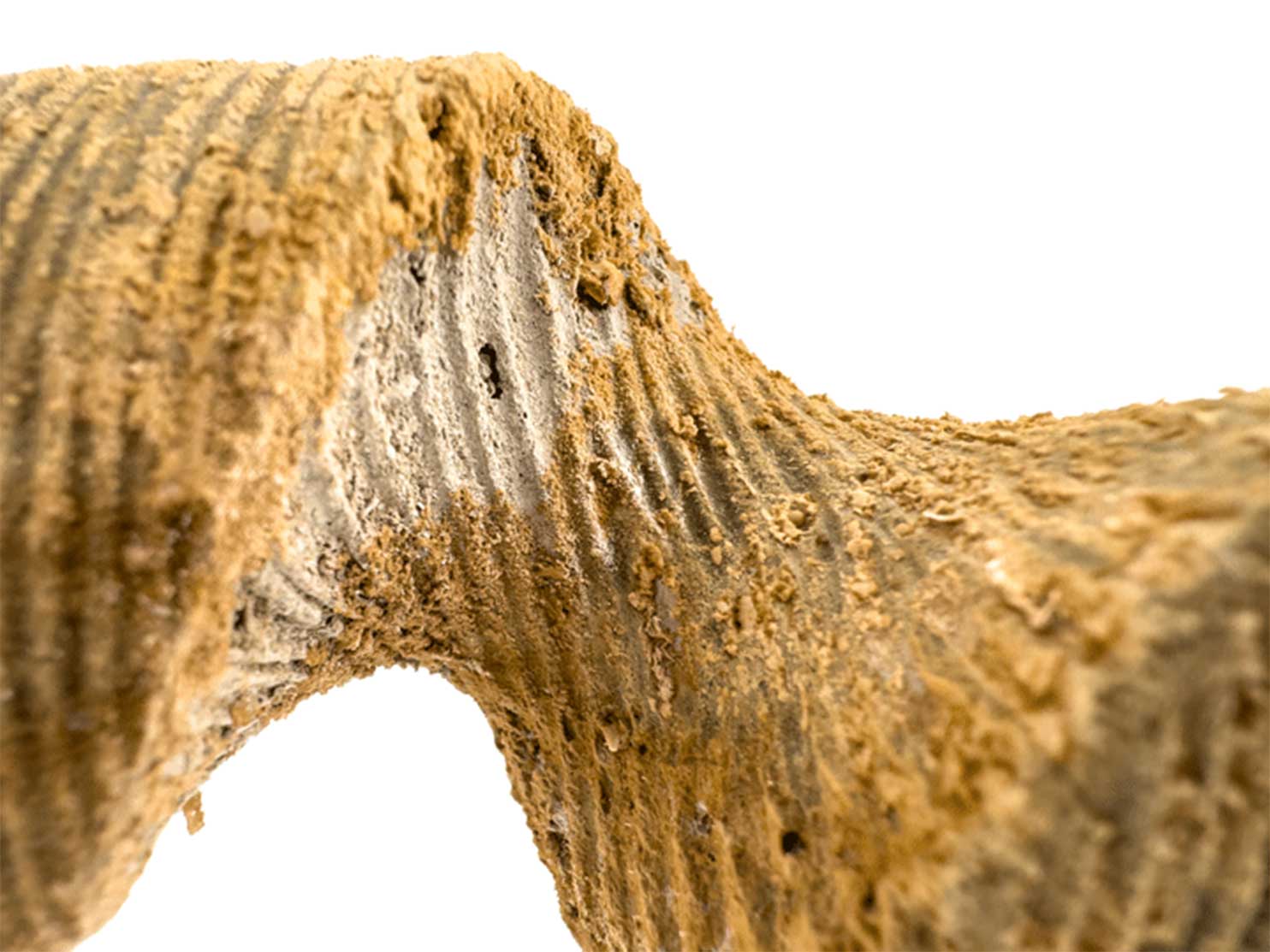 Bildquelle: Prof. Dr. Manuel Kretzer Benjamin Kemper