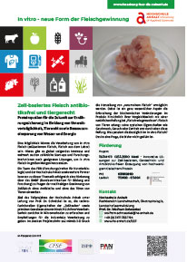 Produktblatt Zell-basiertes Fleisch
