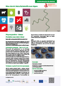 Phycocyanine – blaue 
Proteine aus dem Meer